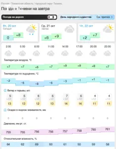 Мокрый снег и ветер до 20 м/с ожидаются на юге Тюменской области 21 октября