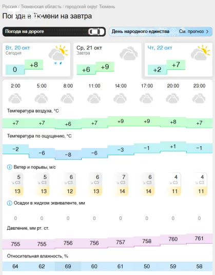 Мокрый снег и ветер до 20 м/с ожидаются на юге Тюменской области 21 октября