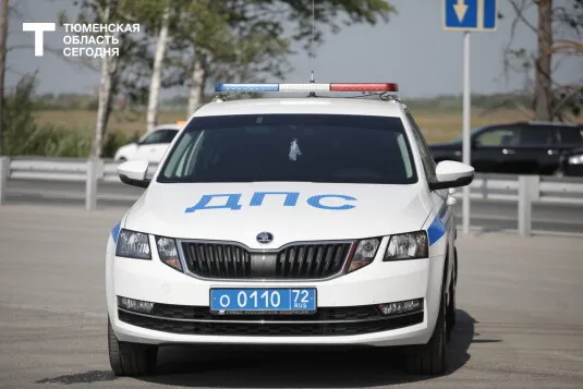 В Тобольске водителя накажут за заезд на экотропу