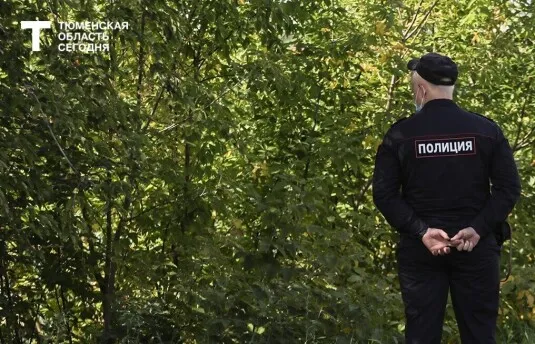 За неделю на дорогах Тюменской области сбили двух кабанов