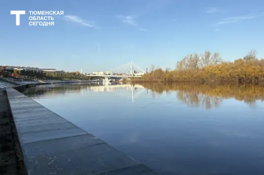 В Тюмени запретили коммерческое использование катера за перевозки без лицензии