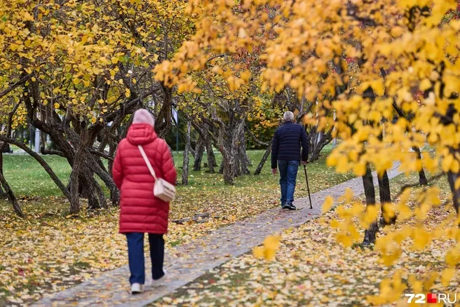 В Тюменской области снизилось число новых случаев ВИЧ